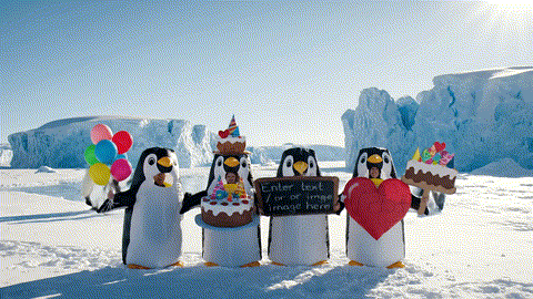 Pick your celebration scene