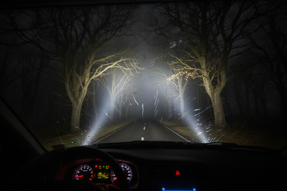 Pov of night driving in the woods