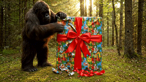 Create Your Custom AI Gift Video